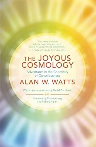 Tapa de The Joyous Cosmology