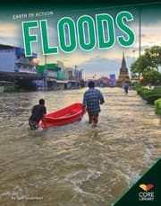 Tapa de Floods