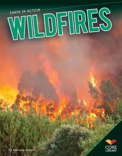 Tapa de Wildfires
