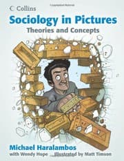 Tapa de Sociology in Picturestheories and Concepts