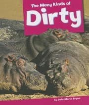 Tapa de The Many Kinds of Dirty