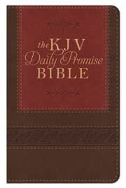 Tapa de The KJV Daily Promise Bible