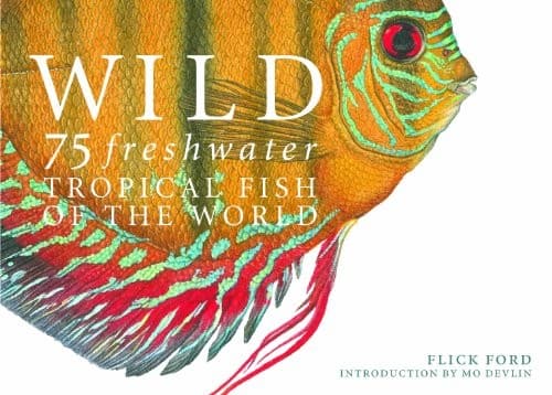 Tapa de Wild