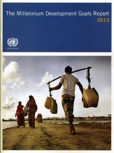 Tapa de The Millennium Development Goals Report 2013
