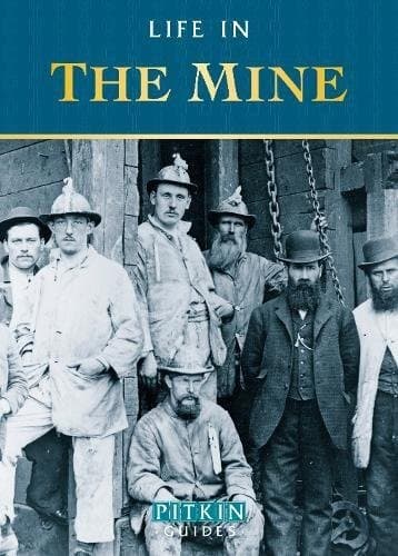Tapa de Life in the Mine