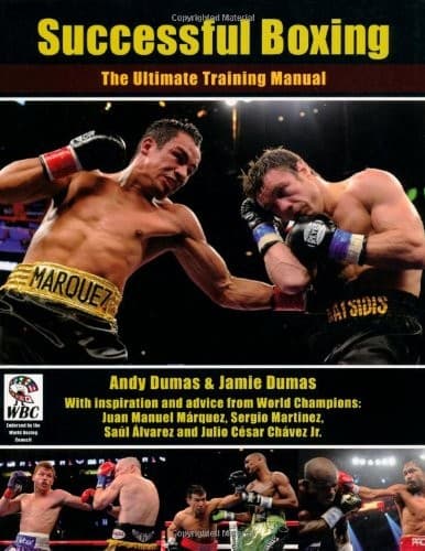 Tapa de Successful Boxing