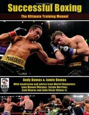 Tapa de Successful Boxing