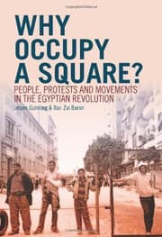 Tapa de Why Occupy a Square?