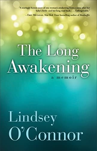 Tapa de The Long Awakening