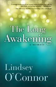 Tapa de The Long Awakening
