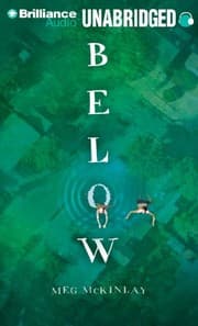 Tapa de Below