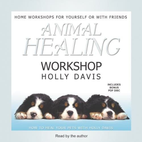Tapa de Animal Healing Workshop