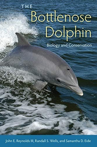 Tapa de The Bottlenose Dolphin