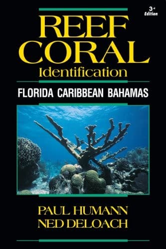 Tapa de Reef Coral Identification