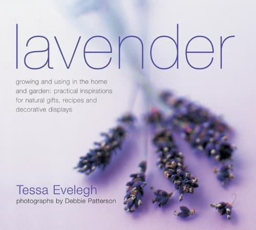 Tapa de Lavendar