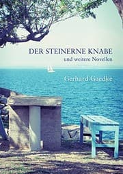 Tapa de Der steinerne Knabe und weitere Novellen