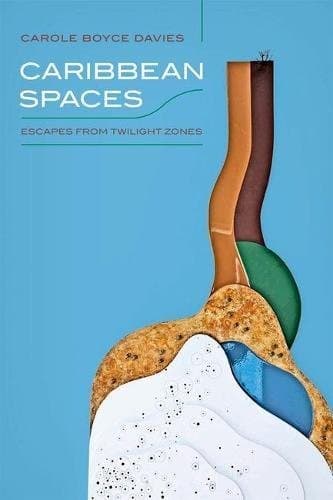 Tapa de Caribbean Spaces