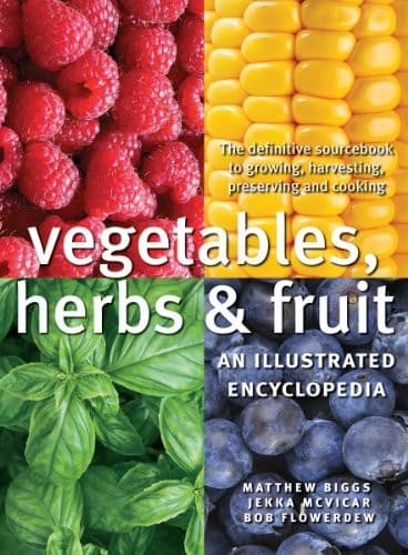 Tapa de Vegetables, Herbs and Fruit