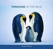 Tapa de Penguins in the Wild
