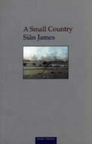 Tapa de A Small Country (Seren Classics)