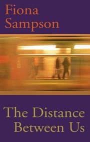 Tapa de The Distance Between Us