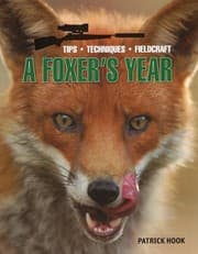 Tapa de Foxer's Year, A