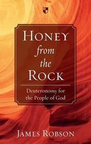 Tapa de Honey from the Rock