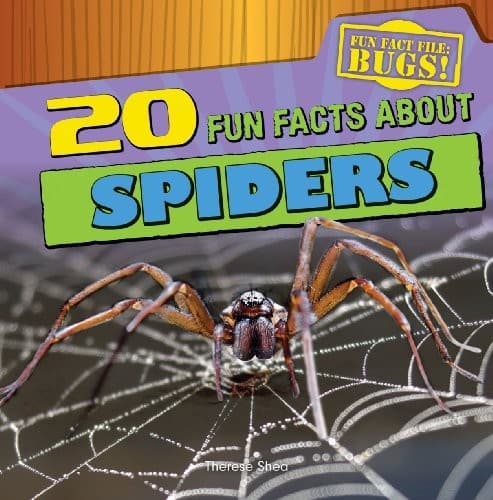 Tapa de 20 Fun Facts About Spiders