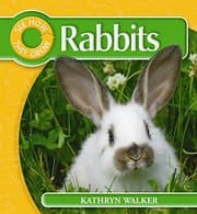 Tapa de Rabbit