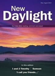 Tapa de New Daylight : May-August 2013