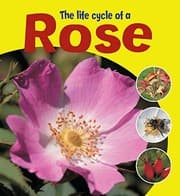 Tapa de The Life Cycle of a Rose