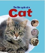 Tapa de The Life Cycle of a Cat