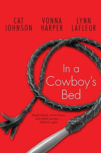 Tapa de In a Cowboy's Bed