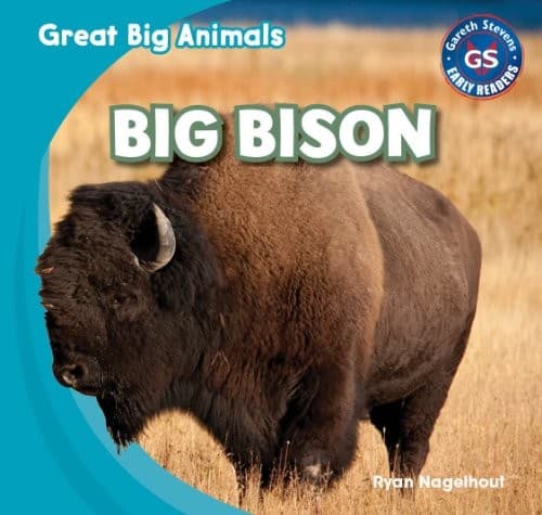 Tapa de Big Bison