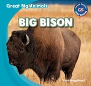 Tapa de Big Bison