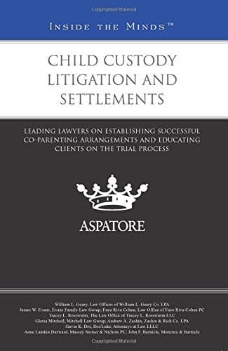 Tapa de Child Custody Litigation and Settlements