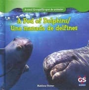 Tapa de Animal Groups / Grupos de animales