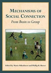 Tapa de Mechanisms of Social Connection
