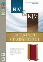Tapa de NIV, KJV, Parallel Study Bible, Imitation Leather, Red