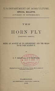 Tapa de Hornfly, (Haematobia serrata)