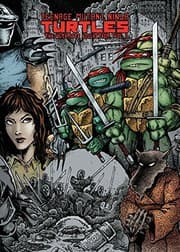 Tapa de Teenage Mutant Ninja Turtles