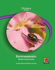 Tapa de Environments