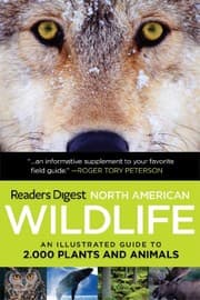 Tapa de North American Wildlife