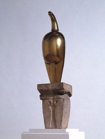 Tapa de Constantin Brancusi