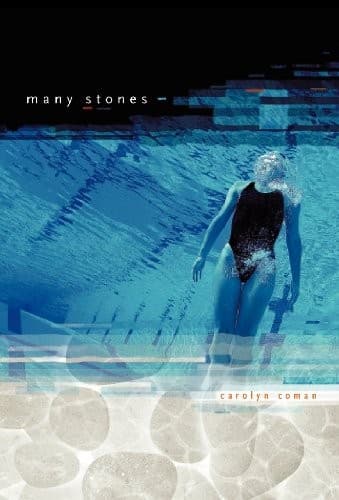 Tapa de Many Stones