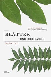 Tapa de Blätter und ihre Bäume
