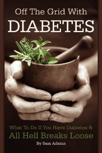 Tapa de Off The Grid With Diabetes