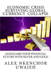 Tapa de Economic Crisis : Surviving Global Currency  Collapse