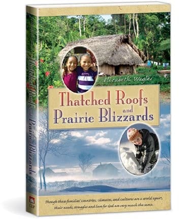 Tapa de Thatched Roofs and Prairie Blizzards