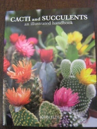 Tapa de Cacti and Succulents
